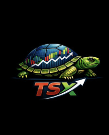 TSX Holdings logo